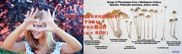 дистиллят марихуана Аркадак