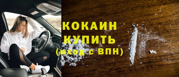 крисы Арсеньев