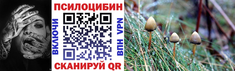 Галлюциногенные грибы Magic Shrooms  купить наркотик  Красково 